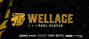 Banner for wellace