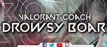 Banner for DrowsyBoar