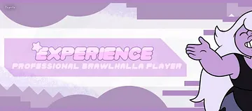 Banner for Experience